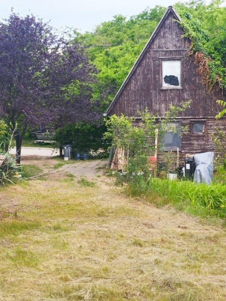 T�jv�delmi z�ld�vezet k�zel�ben �p�t�si telek