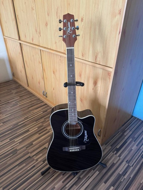 Takamine gitr