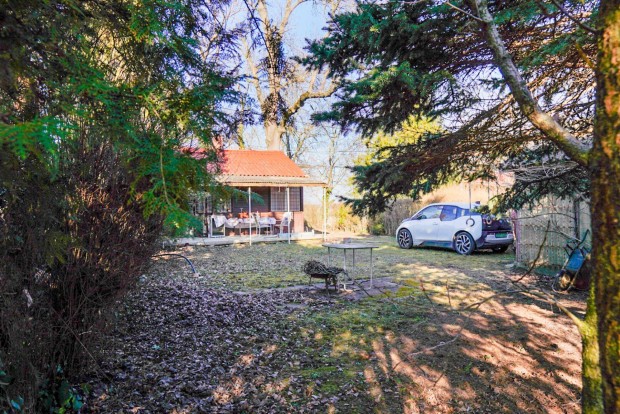 Taksonyban 38nm-es nyaral�