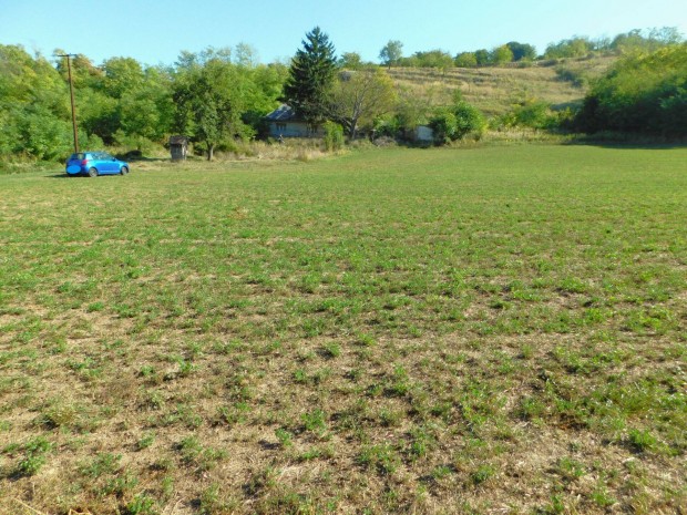 Tam�siban 12595 m2 ter�lettel lak�h�z elad�