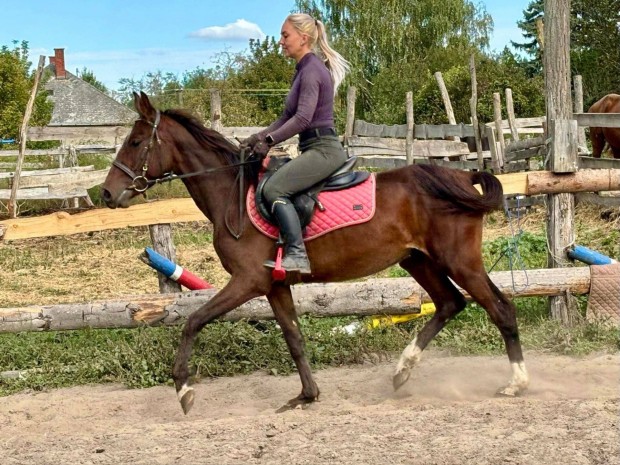 Tanulkony, j szrmazs fiatal sportl