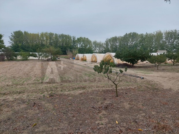 Tanya �p�t�s�re alkalmas telek Bal�sty�n!