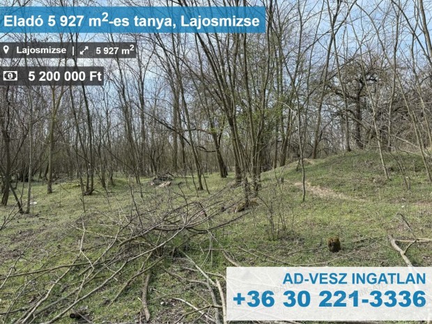 Tanya+legel� elad� Lajosmizs�n