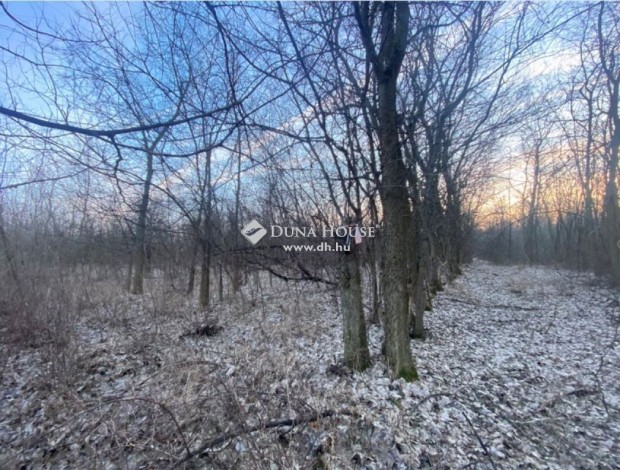 T�pi�bicskei 1683 nm-es telek elad�