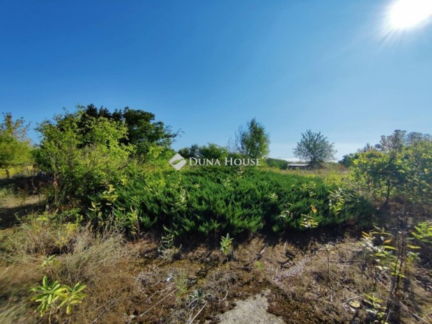 T�pi�bicskei elad� 974 nm-es telek