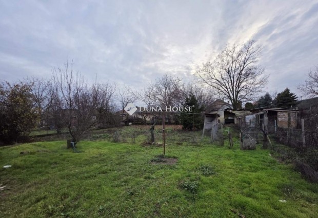 T�pi�s�gi elad� 44 nm-es h�z