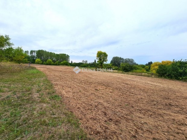 T�pi�szecs�i elad� 3935 nm-es telek