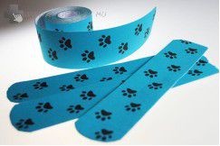 Tappancs mints kinesiology tape