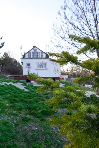 T�rnokon 56nm-es cs.h�z