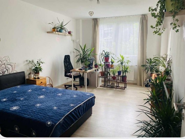 Tatab�nya, 2 szob�s  t�gla lak�s elad�