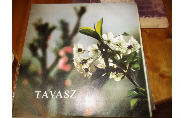 Tavasz (krusmvek) LP hanglemez elad