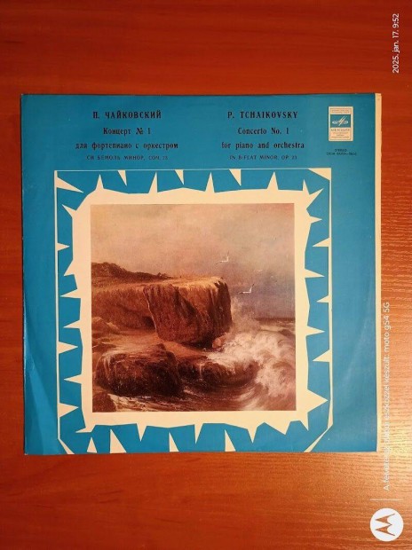 Tchaikovsky - Concerto No. 1 For Piano And Orchestra .LP, Vinyl