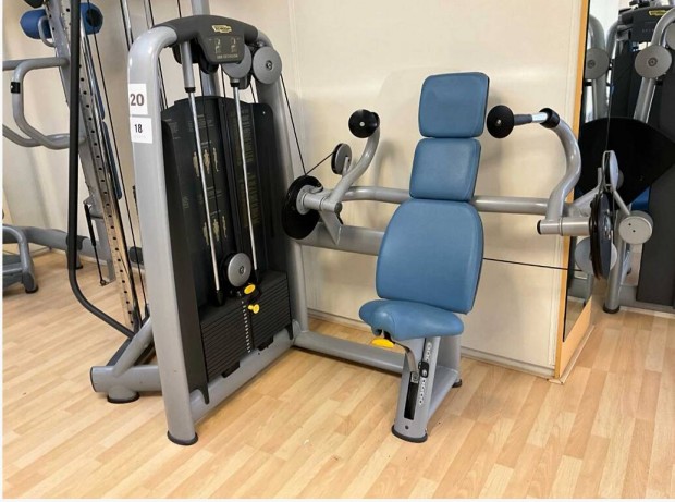 Technogym tricepsz gp, arm extension 