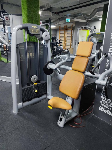 Technogym tricepszgp (Life Fitness, Cybex)