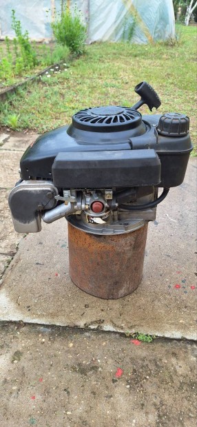 Tecumceh motor 3.5 LE Kecskemét