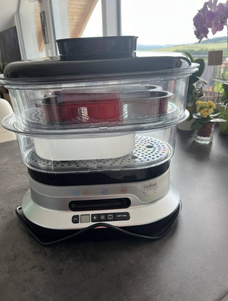 Tefal Steam'n Light- telprol