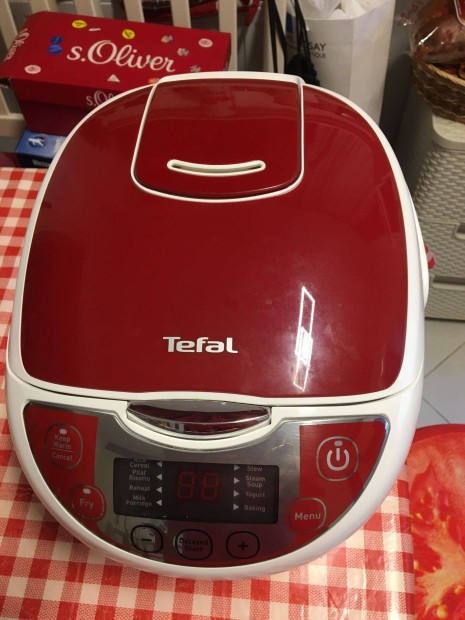 Tefal fzedny model:serie r 19-1