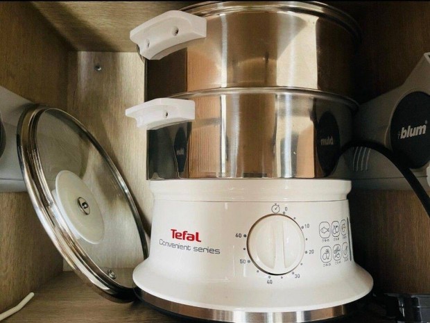 Tefal prol 