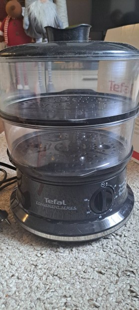 Tefal pároló olcsón eladó. szállítással!