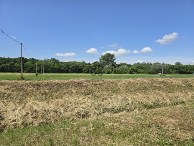 T�gl�son, 4660 nm-es �p�t�si telek elad�!