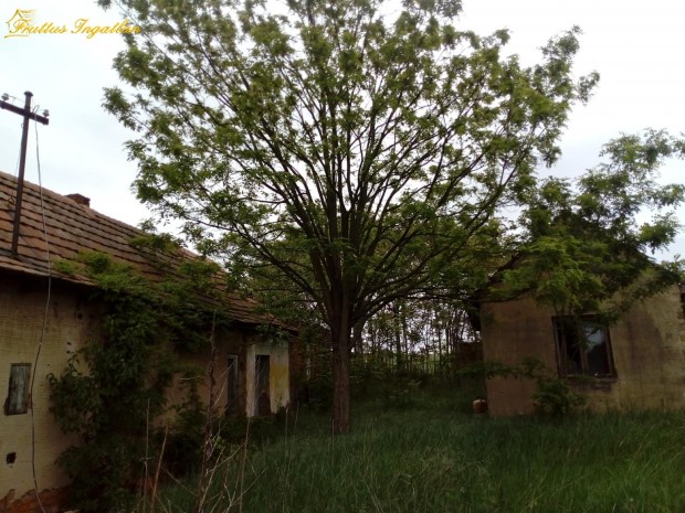 T�gl�son t�rsash�z �p�t�s�re is alkalmas telek elad�