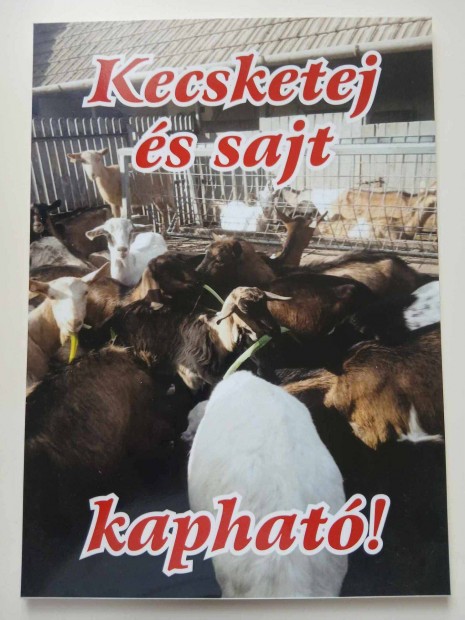 Tej , bio , kecsketej , kecske tej , kecskesajt , sajt , gomolya ,