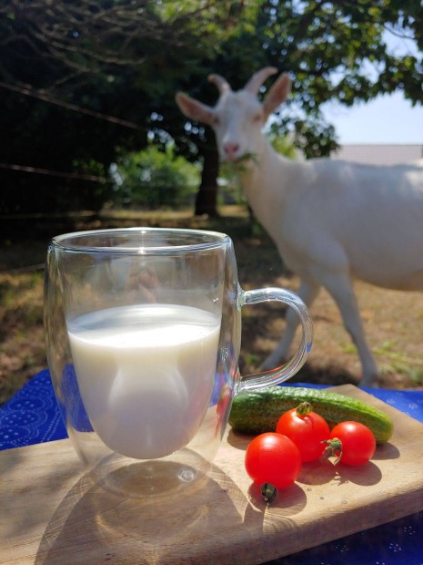 Tej, pasztrizlt kecsketej