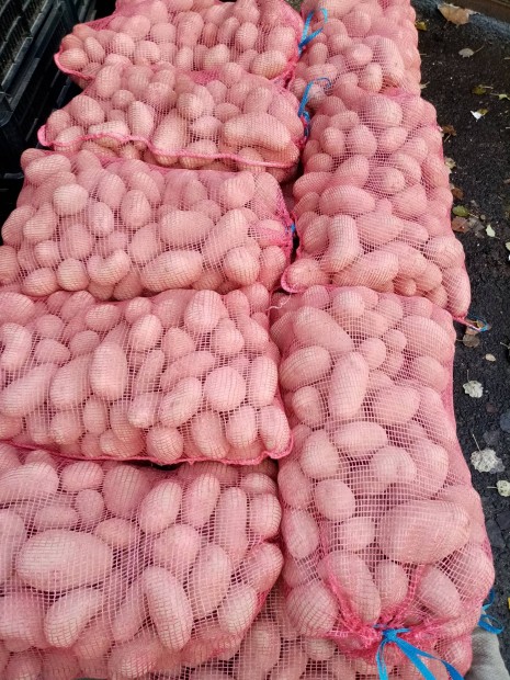 Télálló Újfehértói burgonya eladó Újpesten krumpli 