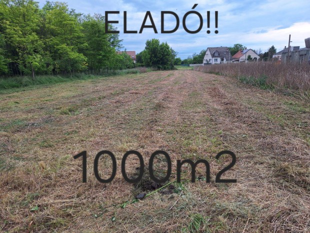 Telek 1000m2