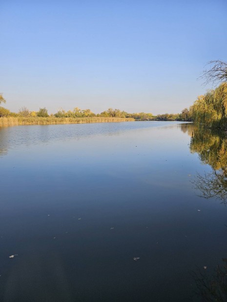 Telek A Holt-Tisza Parton Szolnokon