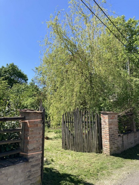 Telek Tinnyn
