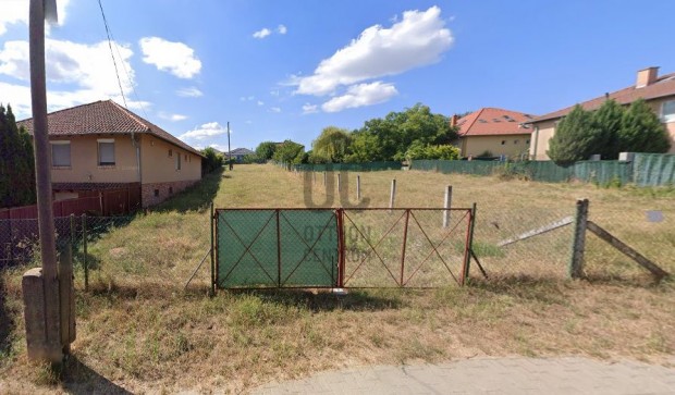 Telek a Fenyvesligetben