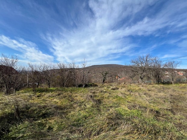 Telek elad 3000m2 ! rgi hatrton, csodlatos szinte krpanormval