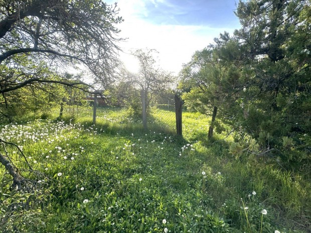 Telek elad� Mogyor�don! Ide�lis lak��vezeti telek Pest megy�ben