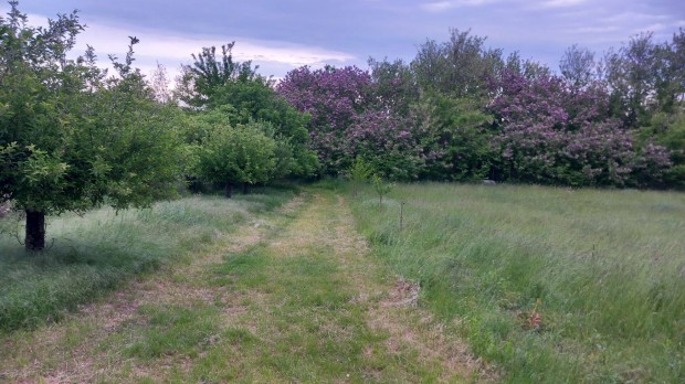 Telek elad� Si�fok Hidegv�lgyi �t v�g�n