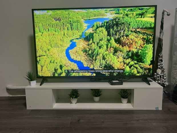 Televizió bútor eladó