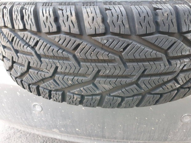 Tli Autgumi Riken 195/65 R15