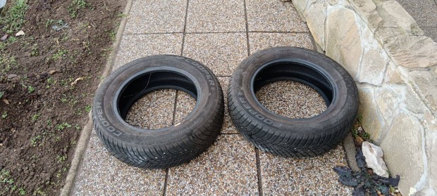 Tli Gumi 195/65R15 2 ves gumi