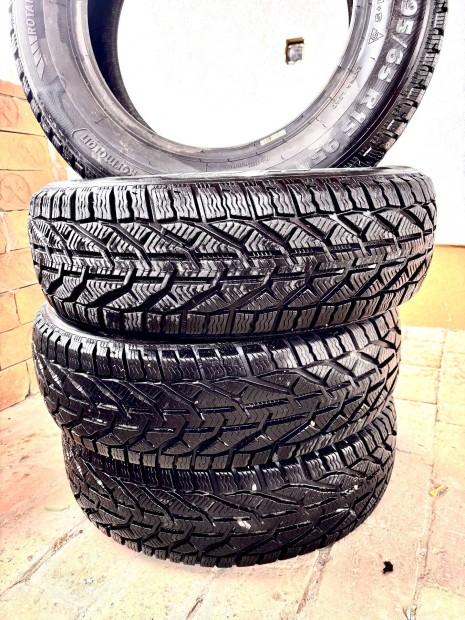 Téli Gumi Kormorán