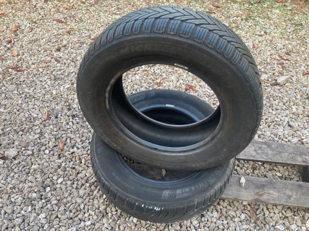 Tli gumi 2 db Michelin Total Performance 195/65 R15 M+S