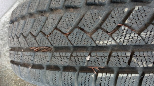 Tli gumi Continental 