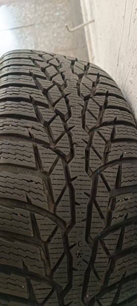 Tli gumiabroncs, Nokian WR D4 XL 195/55 R16 91H
