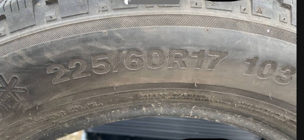 Tligumi225/60r17