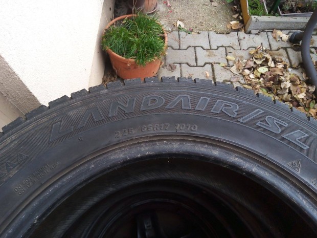 T�ligumi 225/65R17