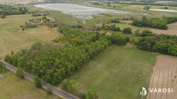 Teljesen fel�j�tott tanya nagy ter�lettel �s v�zparttal