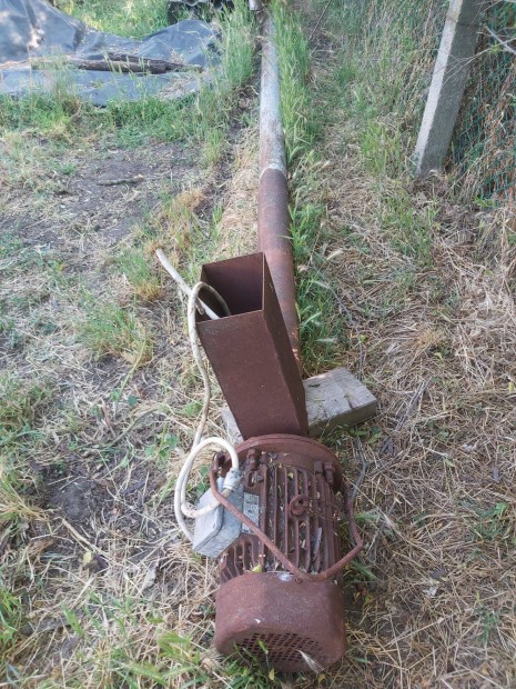 Terménycsiga eladó