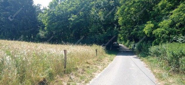 Termszetkzeli ptsi telek Zalaegerszegen elad!