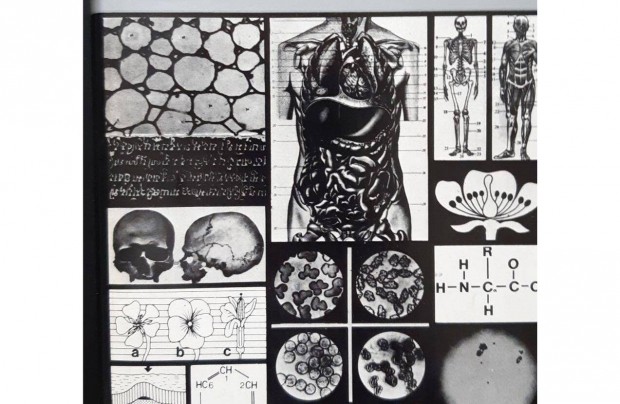 Termszettudomnyi kisenciklopdia, Gondolat, 1983,