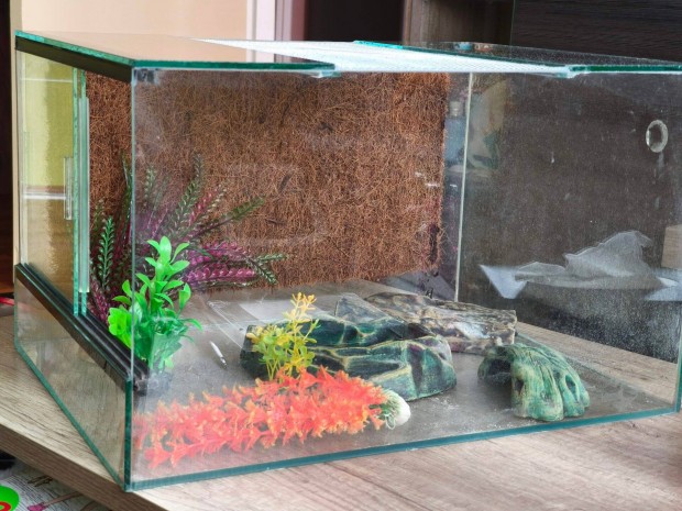 Terrárium 49,5x30x37 + berendezés