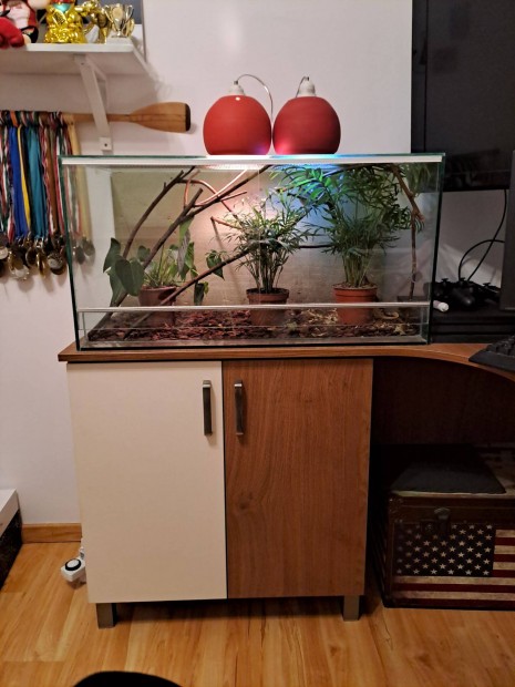 Terrárium +2db lámpabúra eladó